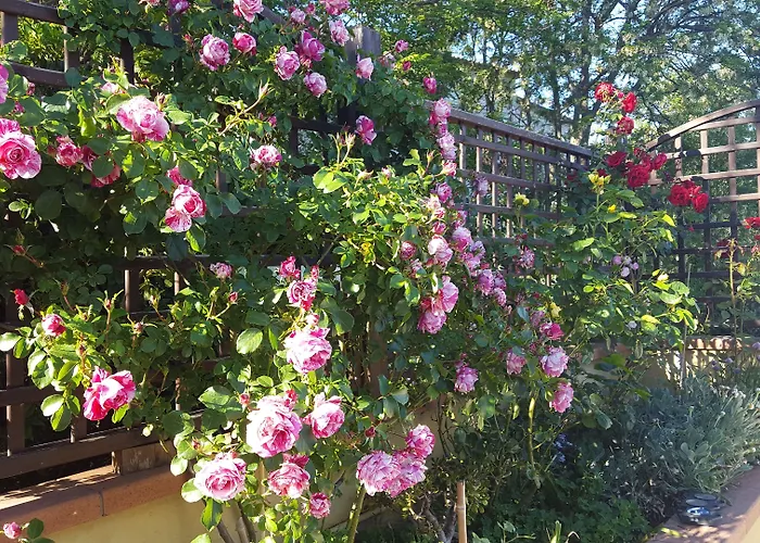 La Valle Novafeltria