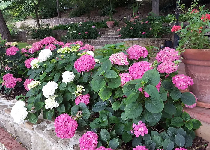 La Valle Novafeltria