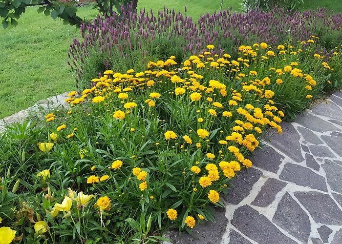 فندق مبيت وإفطار La Valle Novafeltria